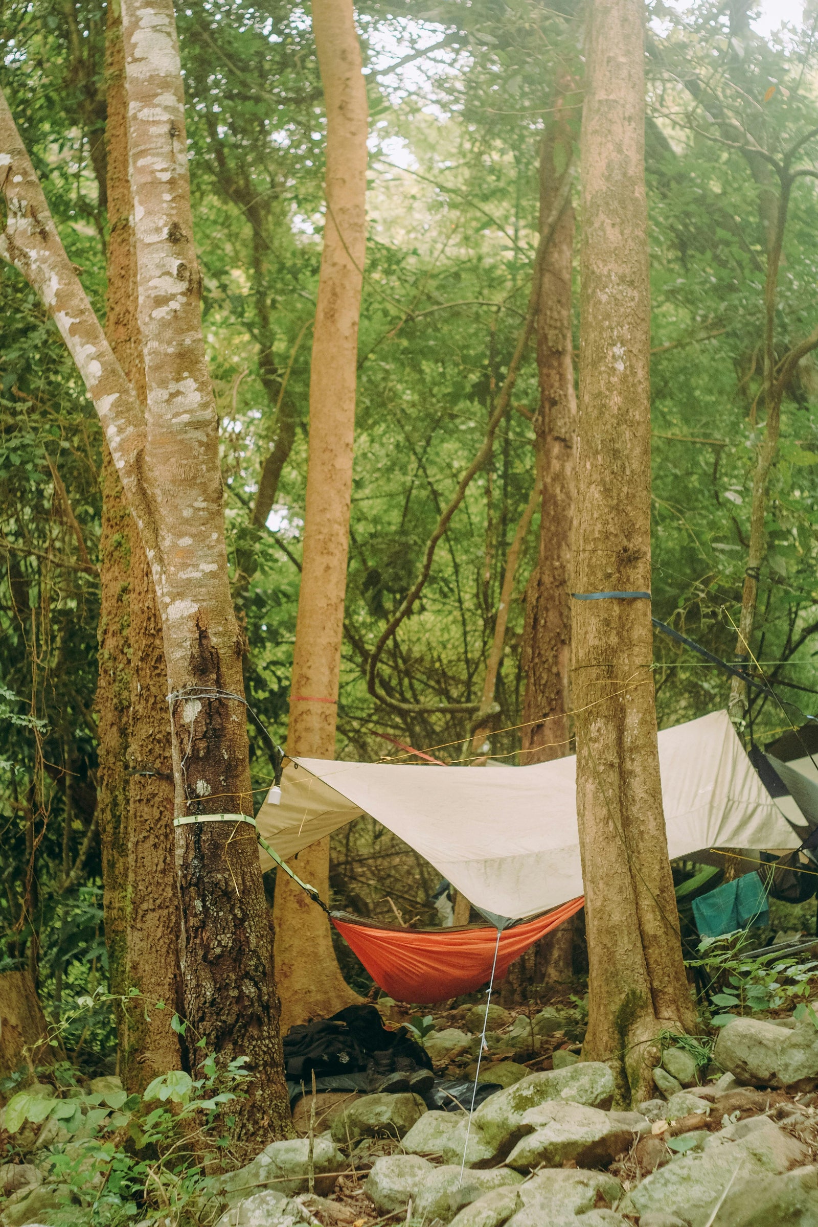 hammock campsite in a canopy of summer trees