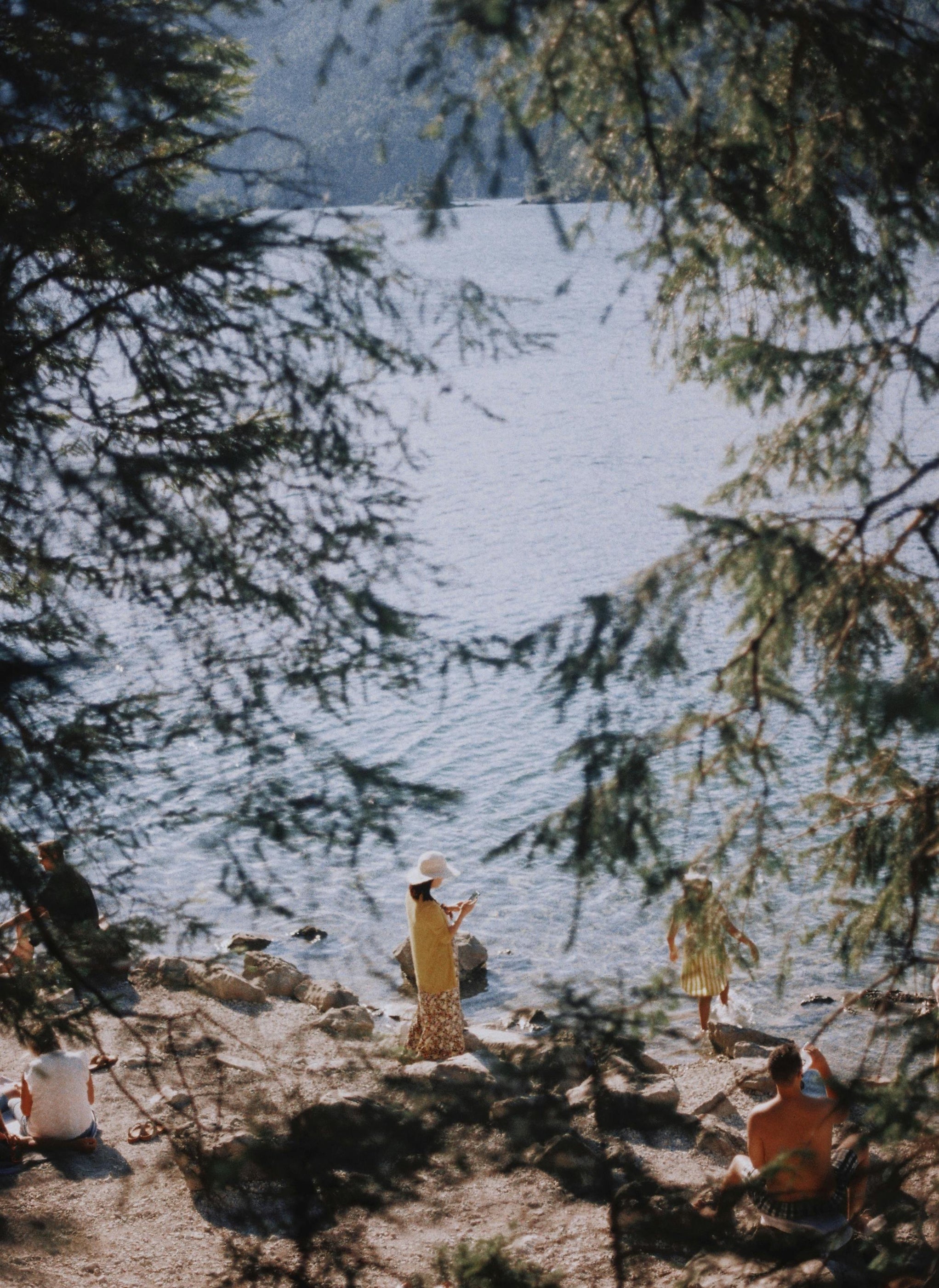 people relax on a sandy lake beach, surrouned by the boughs of pine trees