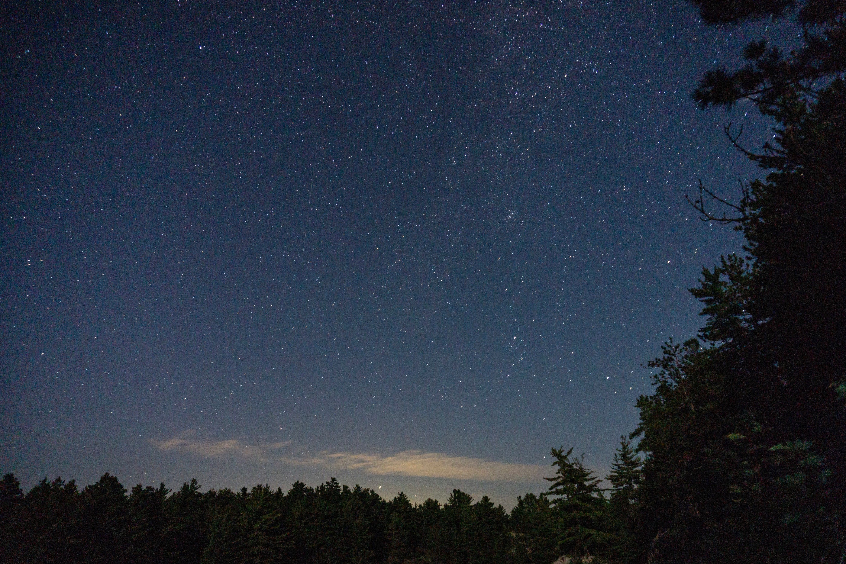a very clear, starry night sky. forest of pine trees to the bottom and the right frame the lower edges of the milky way